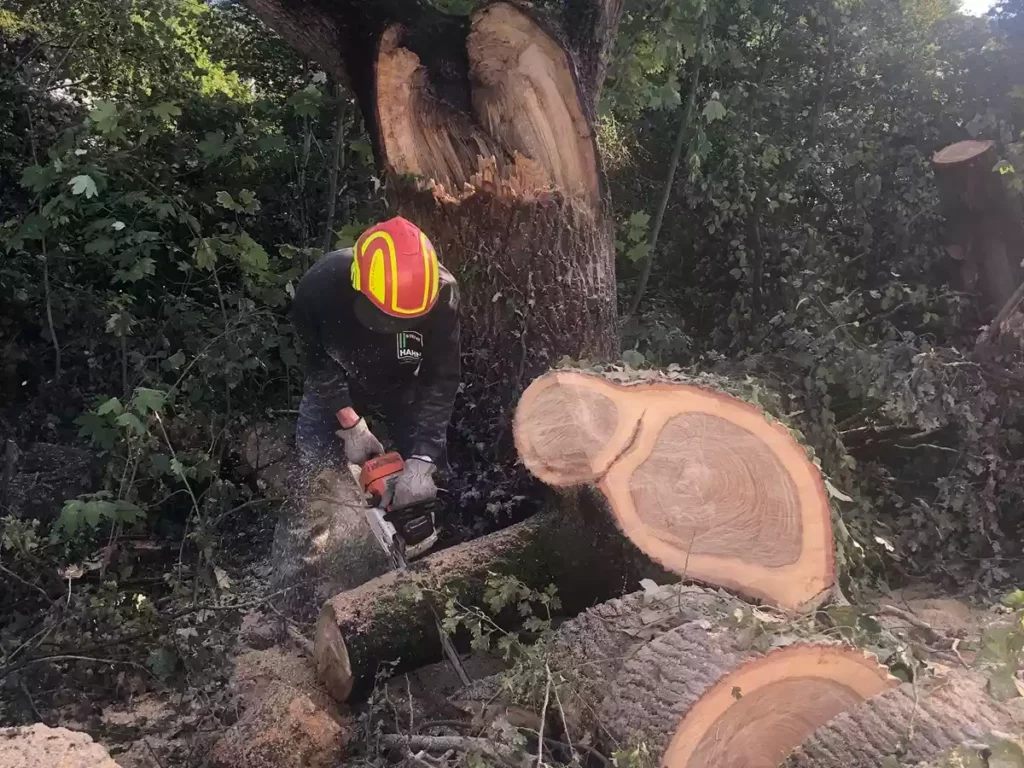 Baumarbeiten